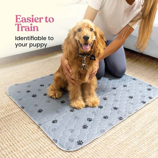 Waterproof Dog Training Pad